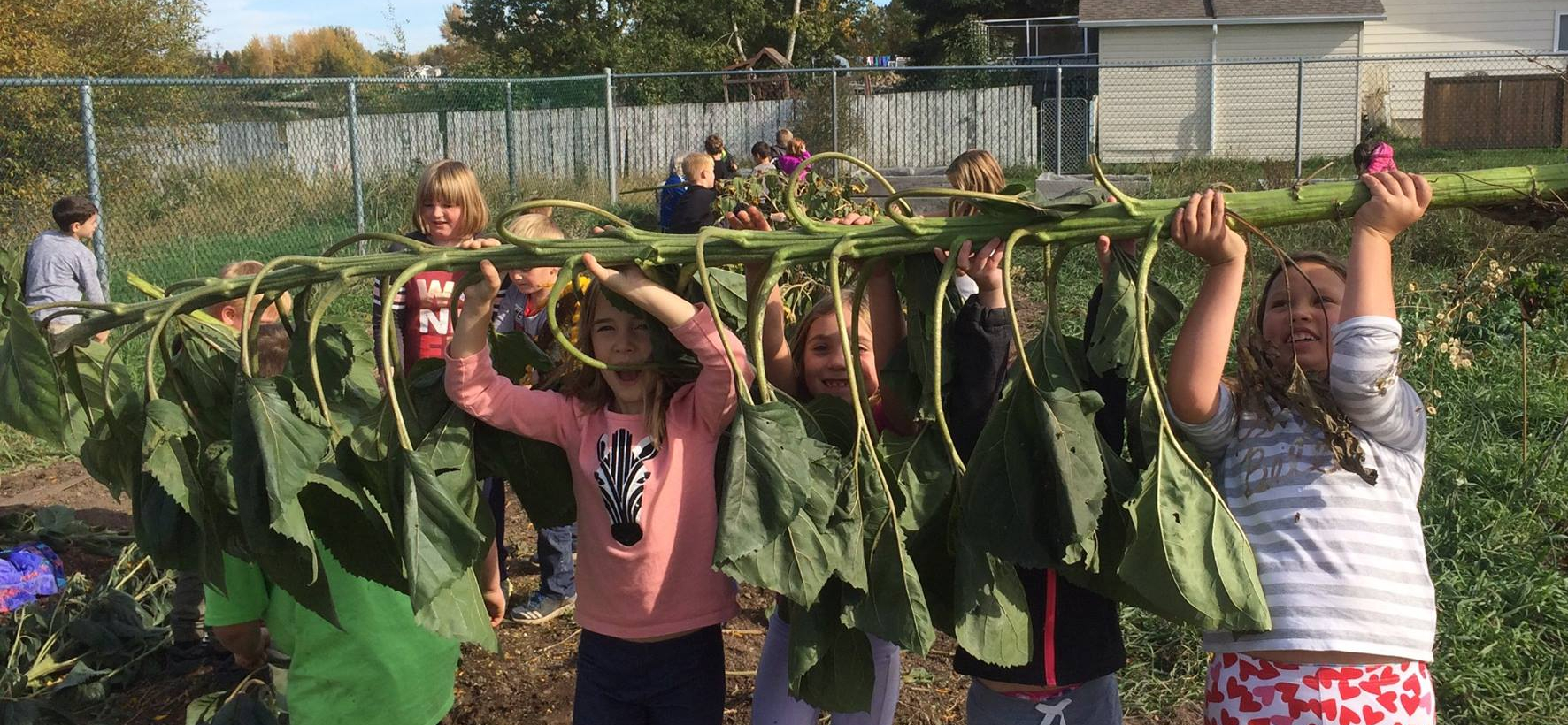 Media Release: Government, Grocers, and Grassroots Invest in Canada’s Farm to School Program 
