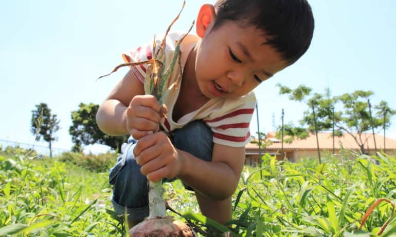 National Farm-to-School Month: Highlighting 30 Innovative Programs from Across the Globe