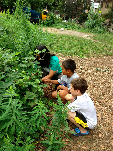 Webinar: Say Yes! To A Garden In Every School