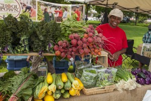 FoodShare's 'School Grown' stand at the East Lynn Farmers' Market