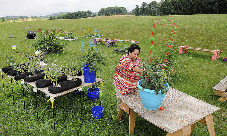 School gardens offer learning opportunities, fresh produce