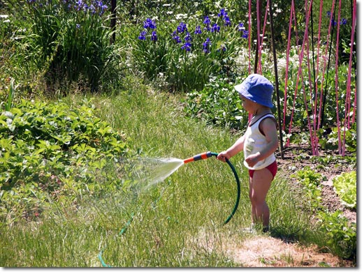 GETTING KIDS INTO GARDENING, PART III: CREATING A RESILIENCE GARDEN