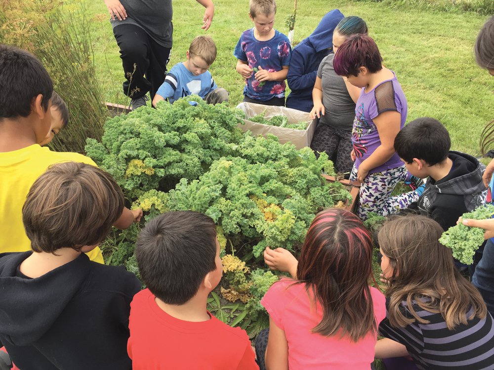 Tiny school turns school turf to gardens and orchards