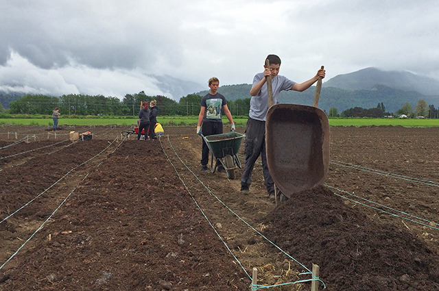 Veggie farm run by Chilliwack students for CSA this summer