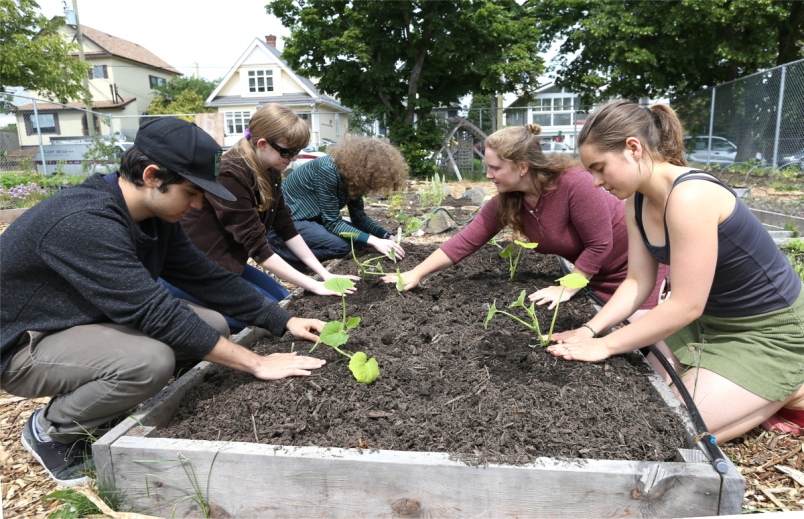 Vic High students get hands dirty in school garden