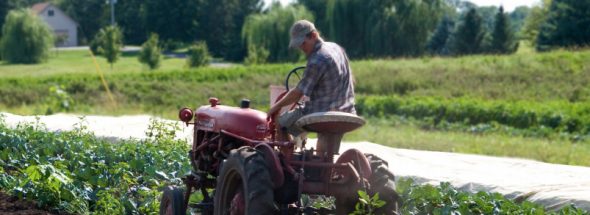 Economic Impacts of Farm to School: Case Studies and Assessment Tools