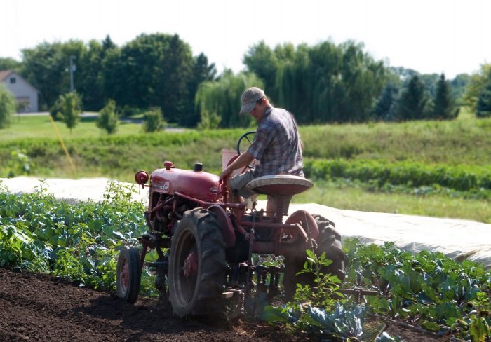 Economic Impacts of Farm to School: Case Studies and Assessment Tools