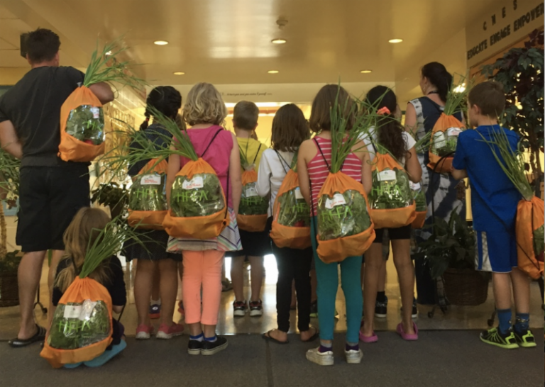 Schools in the Headwaters Region are signing up for backpacks of Local Food—if you’re in the area, you can too!