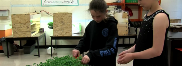 Ecole Franco-Nord Food Program Grows
