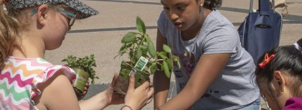 Toronto students dig in to healthy eating with ‘plant-in’