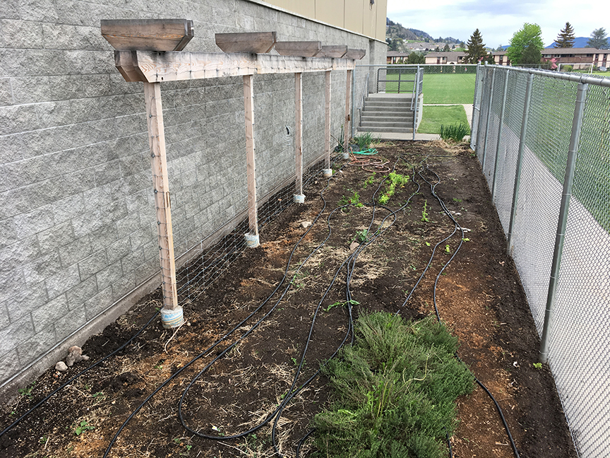 A Journey Through Farm to School Diversity in BC