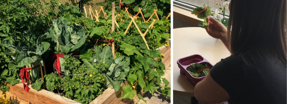 École secondaire Macdonald-Cartier