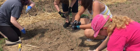 College Heights Secondary School, Guelph ON