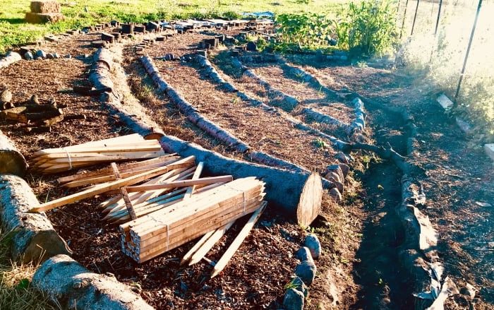Conestoga prof plants Indigenous foods garden to help teach land management
