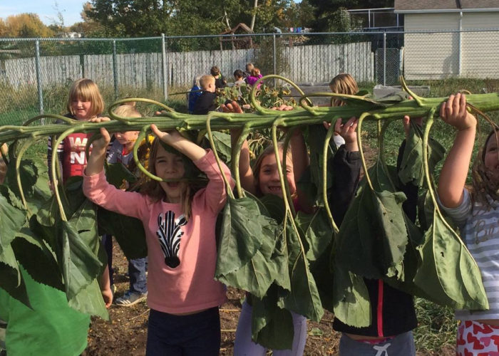 Media Release: Government, Grocers, and Grassroots Invest in Canada’s Farm to School Program 