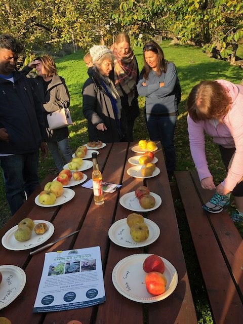 Farm to School, Farm to School Canada