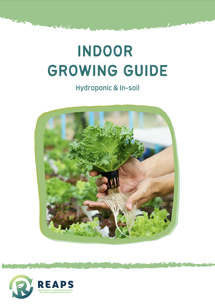 Image of resource guide for REAP - Indoor Growing Guide: Hydroponics & In-soil