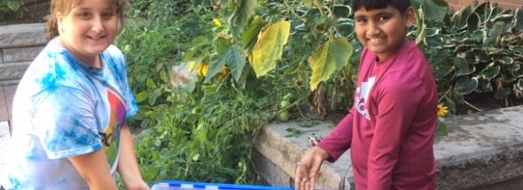 Walter E. Harris Public School Students are Growing Food!  